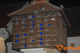 Bild 33